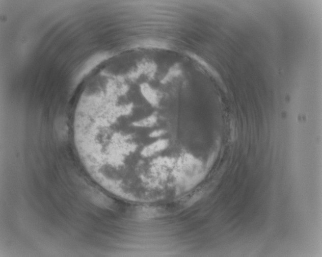 X0000083051266200702231946