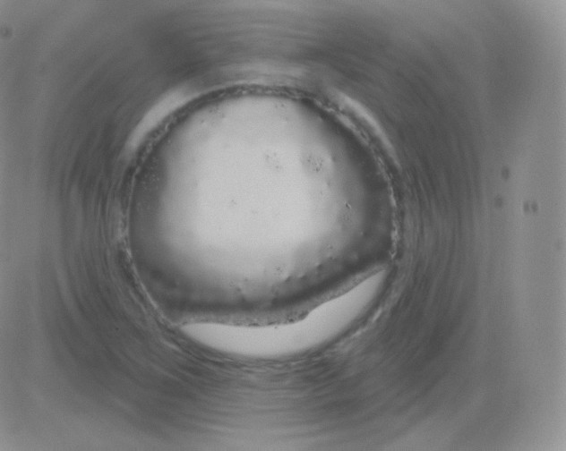 X0000083051267200702231946