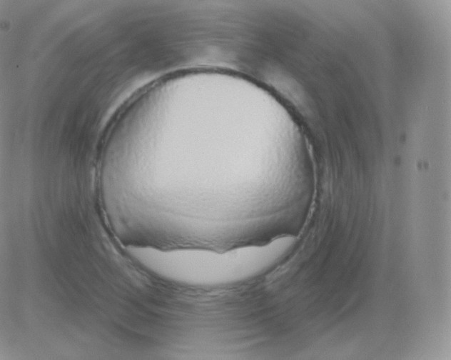 X0000083051268200702231946