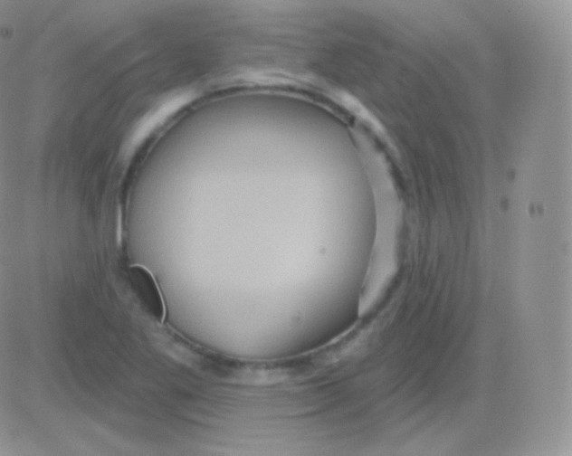 X0000083051269200702231946