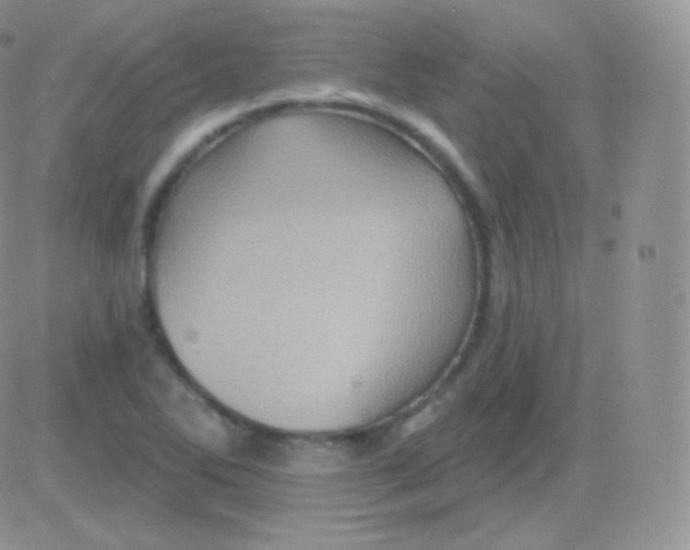 X0000083051270200702231946