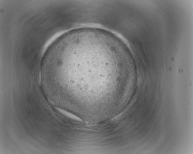 X0000083051271200702231946