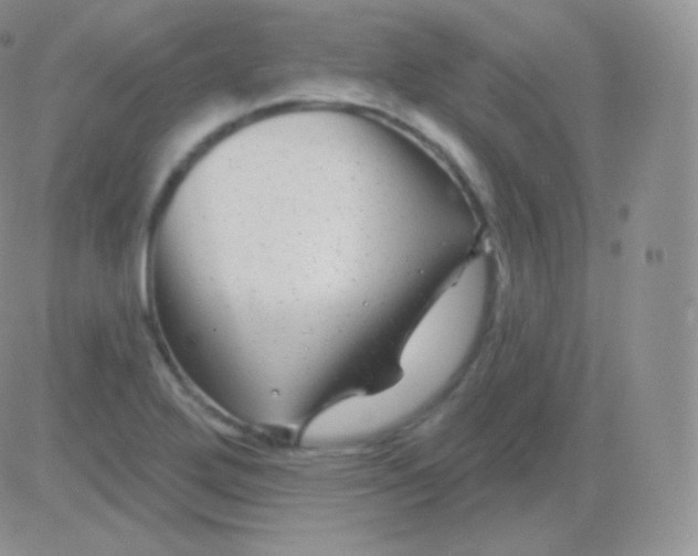 X0000083051272200702231946