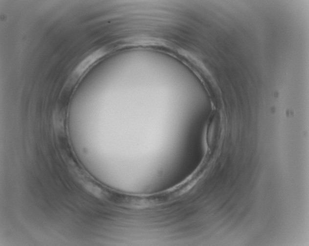 X0000083051273200702231946