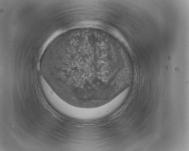 X0000083051275200702231946