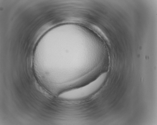 X0000083051276200702231946