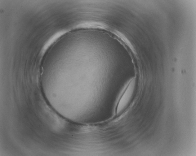 X0000083051277200702231946