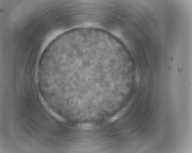 X0000083051278200702231946