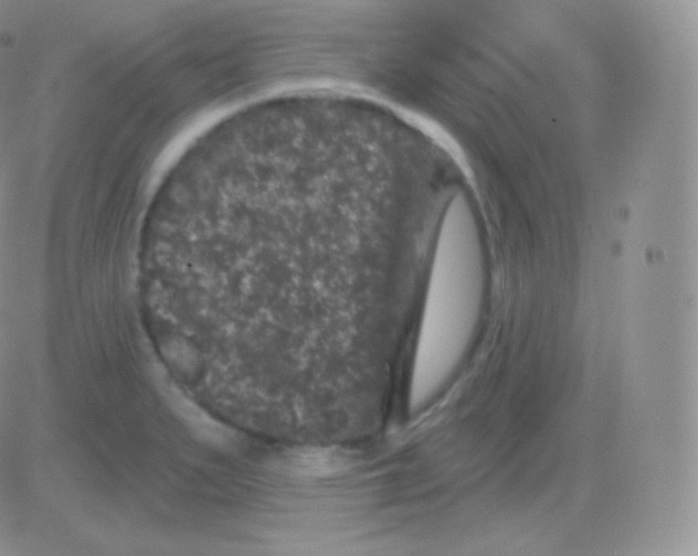 X0000083051279200702231946