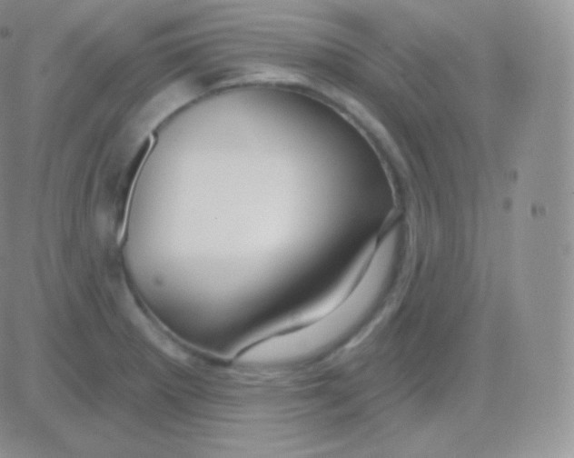 X0000083051281200702231946