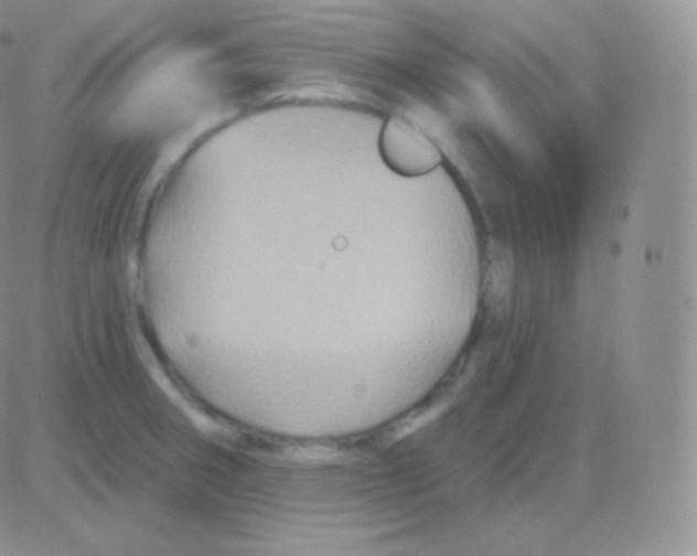 X0000083051282200702231946