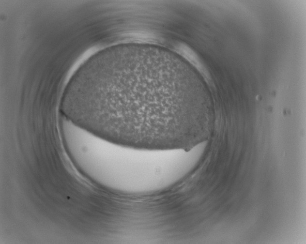 X0000083051283200702231946