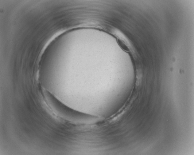 X0000083051284200702231946