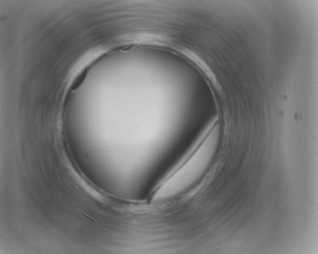 X0000083051285200702231946