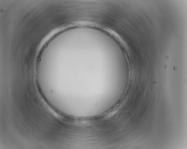 X0000083051286200702231946