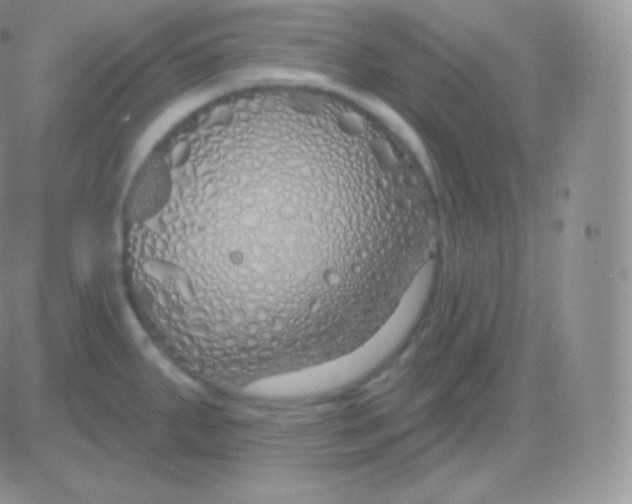 X0000083051287200702231946