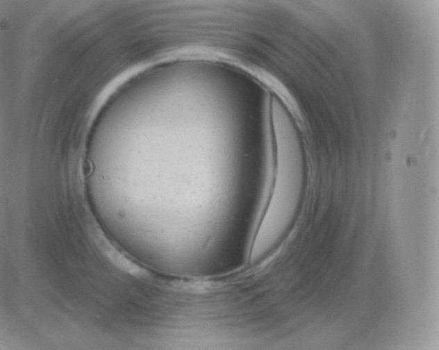 X0000083051288200702231946