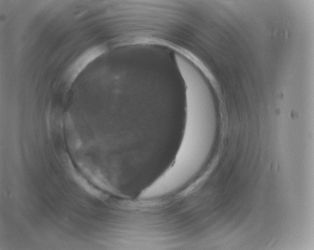 X0000083051289200702231946