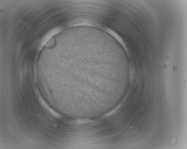 X0000083051290200702231946