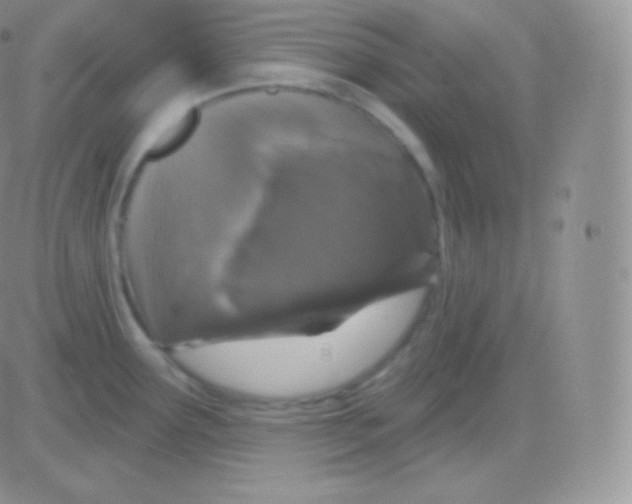 X0000083051291200702231946