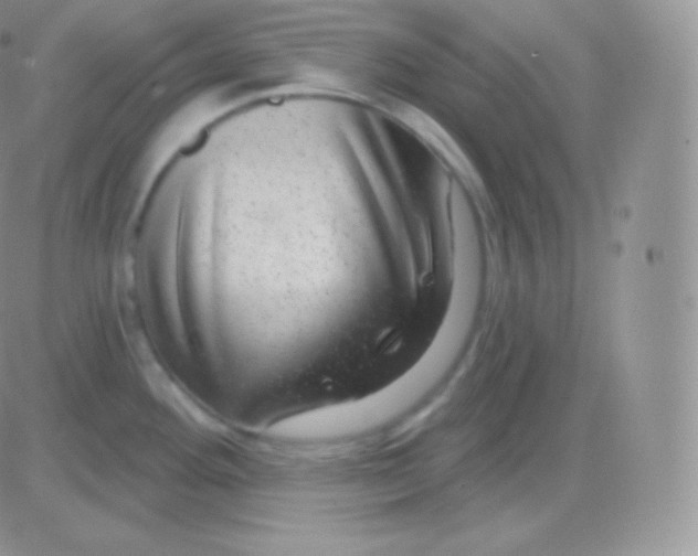 X0000083051292200702231946