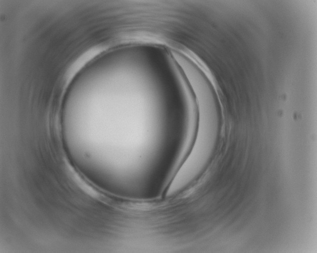 X0000083051293200702231946