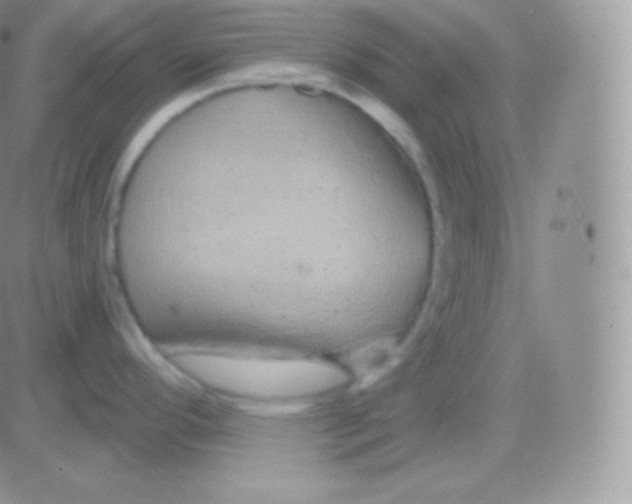 X0000083051296200702231945