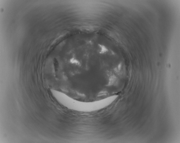 X0000083051297200702231945