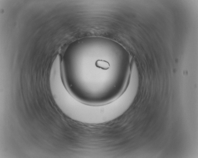 X0000083051298200702231945