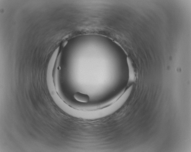 X0000083051300200702231945