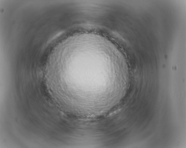 X0000083051302200702231945