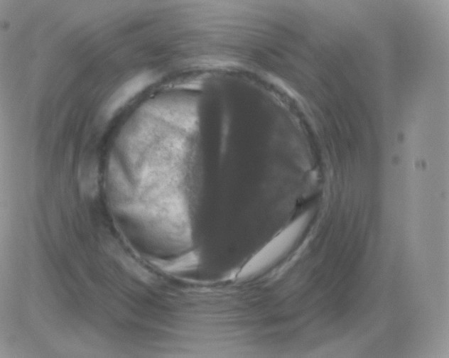 X0000083051306200702231945