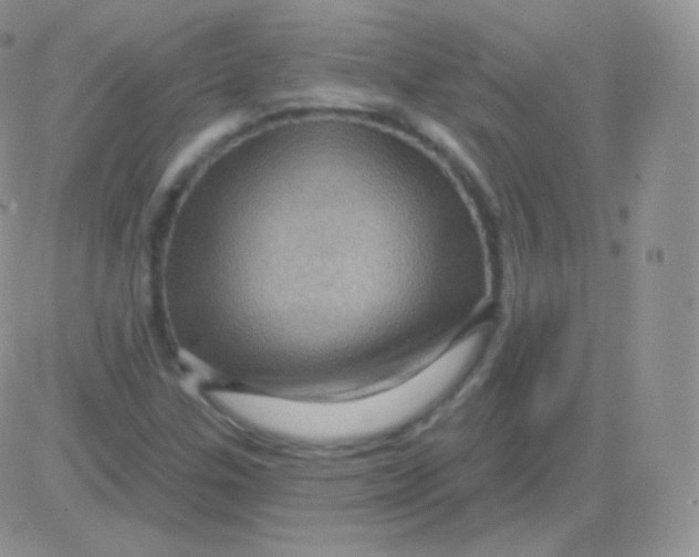 X0000083051307200702231945