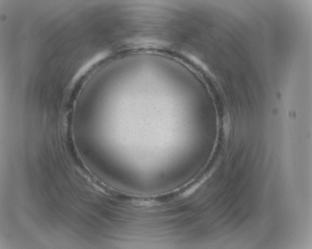 X0000083051309200702231945