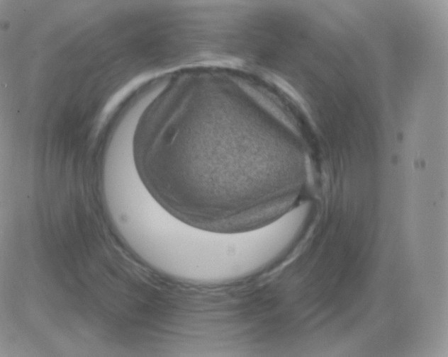 X0000083051310200702231945