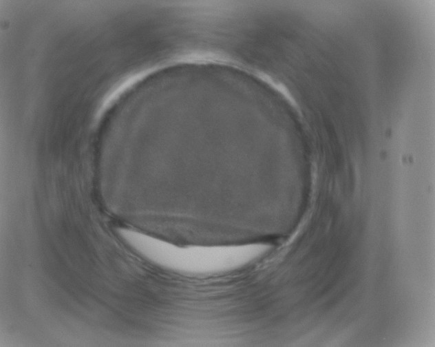 X0000083051311200702231945