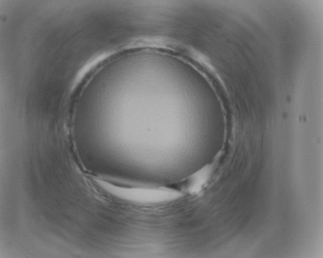 X0000083051312200702231945