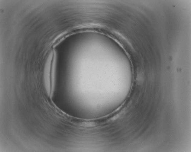 X0000083051313200702231945