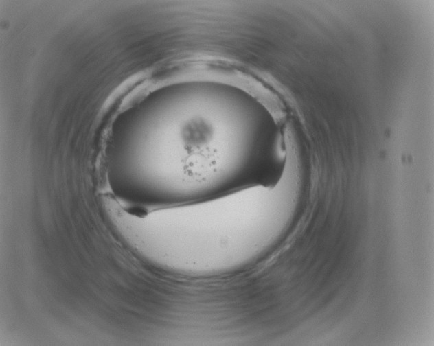 X0000083051314200702231945