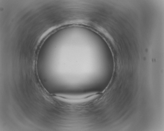 X0000083051316200702231945