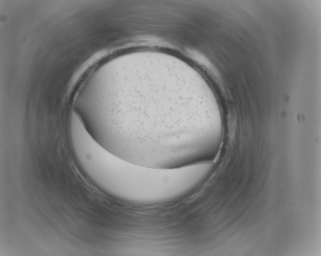 X0000083051318200702231945