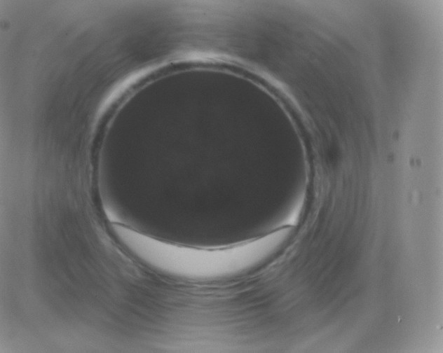 X0000083051319200702231945