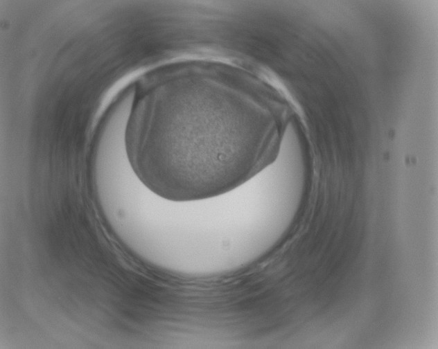 X0000083051320200702231945