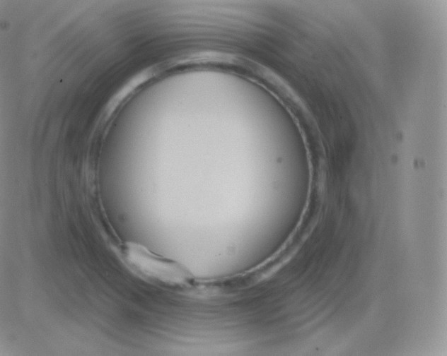 X0000083051321200702231945