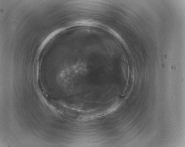 X0000083051323200702231945