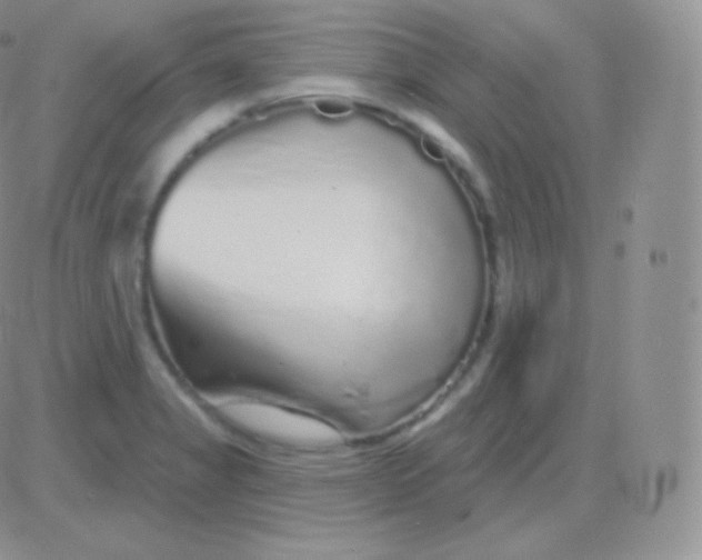 X0000083051325200702231945