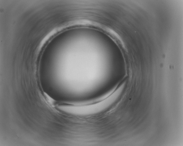 X0000083051326200702231945