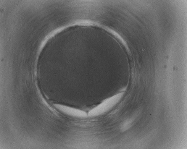 X0000083051327200702231945