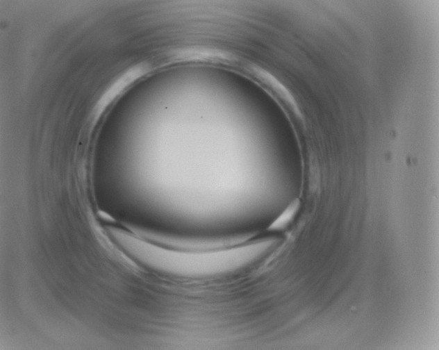 X0000083051330200702231945