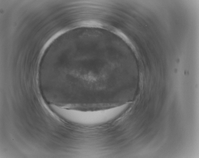 X0000083051331200702231945